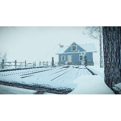 Kona (Steam Gift Россия) - irongamers.ru