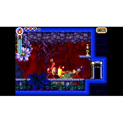 SHANTAE: RISKY&acute;S REVENGE - DIRECTOR&acute;S CUT XBOX+ПК КЛЮЧ - irongamers.ru