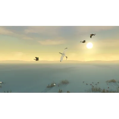 STORM BOY XBOX ONE/X|S КЛЮЧ - irongamers.ru