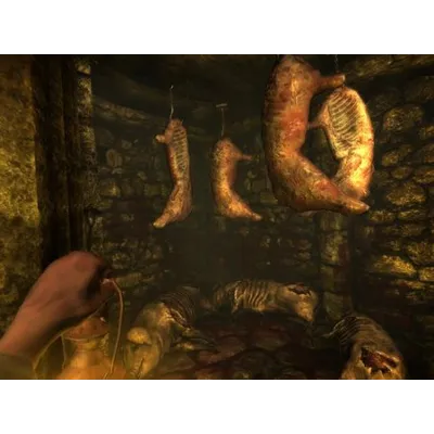Amnesia: The Dark Descent| АВТОДОСТАВКА [Россия Gift] - irongamers.ru