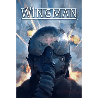 Project Wingman МИР АВТО - irongamers.ru