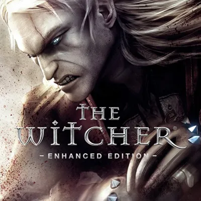 The Witcher 1-2-3 | LOGIN:PASS | АВТО 24/7 | OFFLINE - irongamers.ru
