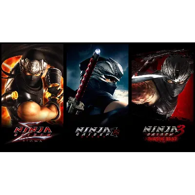 NINJA GAIDEN: Master Collection МИР АВТО - irongamers.ru