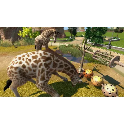 ZOO TYCOON XBOX ONE|XS КЛЮЧ - irongamers.ru