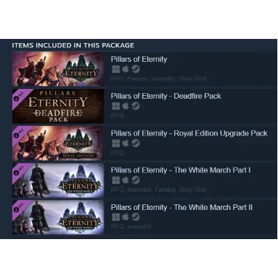 Pillars of Eternity - Definitive Edition (Steam Gift Россия) - irongamers.ru