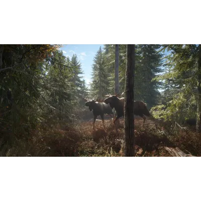theHunter Call of the Wild + 9 DLC (Steam Ключ РФ+МИР) - irongamers.ru
