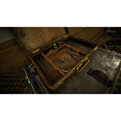 Mask of Sanity | Steam РУ+UA+KZ+СНГ - irongamers.ru