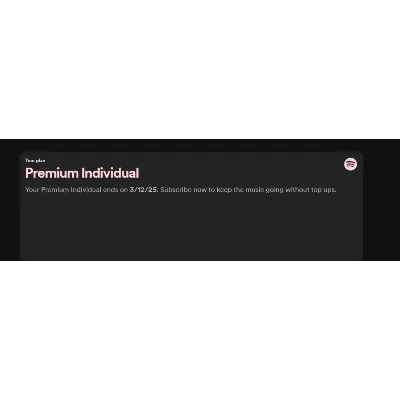 ПОДПИСКА SPOTIFY PREMIUM НА 1-12 МЕСЯЦЕВ PAYPAL - irongamers.ru