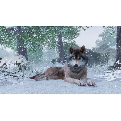 Planet Zoo: Ultimate Edition Xbox Series X|S - irongamers.ru