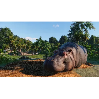 Planet Zoo: Ultimate Edition Xbox Series X|S - irongamers.ru