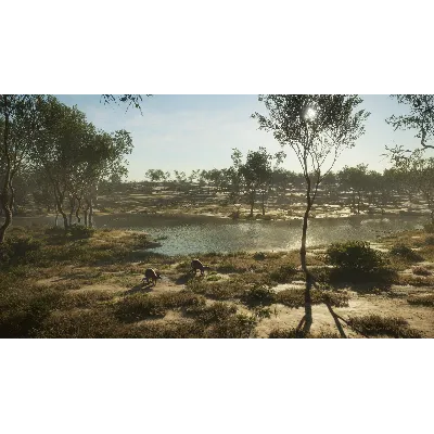 theHunter Call of the Wild Emerald Coast Australia⭐Key - irongamers.ru