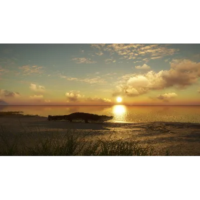 theHunter Call of the Wild Emerald Coast Australia⭐Key - irongamers.ru