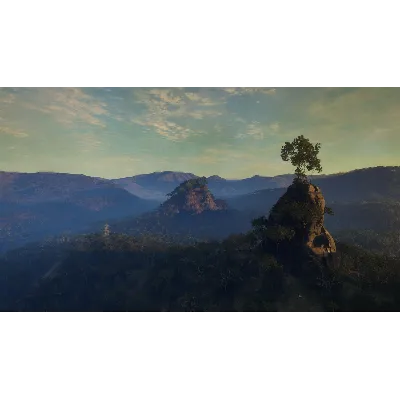 theHunter Call of the Wild Emerald Coast Australia⭐Key - irongamers.ru