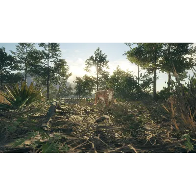 theHunter Call of the Wild Rancho del Arroyo⭐Steam\Key - irongamers.ru
