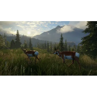 theHunter: Call of the Wild Silver Ridge Peaks ⭐Steam⭐ - irongamers.ru