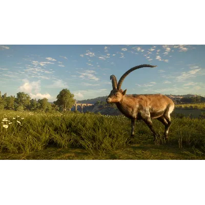 theHunter Call of the Wild Cuatro Colinas Game Reserve - irongamers.ru