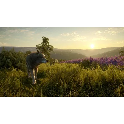 theHunter Call of the Wild Cuatro Colinas Game Reserve - irongamers.ru