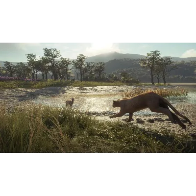theHunter: Call of the Wild Parque Fernando⭐Steam\Key⭐ - irongamers.ru