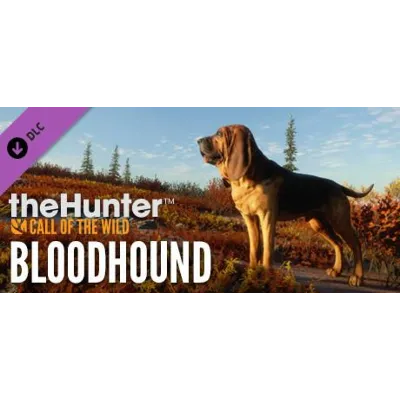 theHunter Call of the Wild Seasoned Hunter Bundle⭐Стим - irongamers.ru