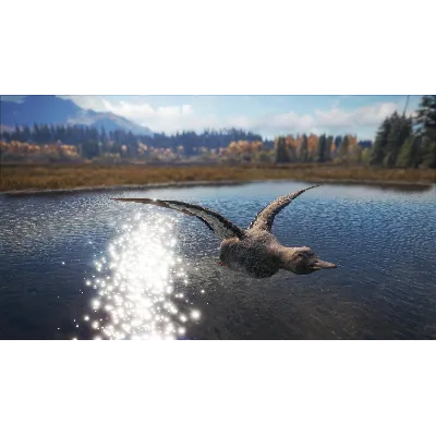 theHunter: Call of the Wild Duck and Cover Pack⭐Steam⭐ - irongamers.ru