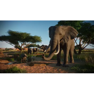 Planet Zoo: Console Edition Xbox Series X|S активация - irongamers.ru