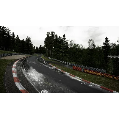 Assetto Corsa Competizione - 24H Nürburgring Pack DLC AUTODELIVERY STEAM РОССИЯ - irongamers.ru