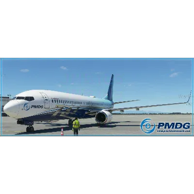 PMDG 737-800 MSFS 2020 - irongamers.ru