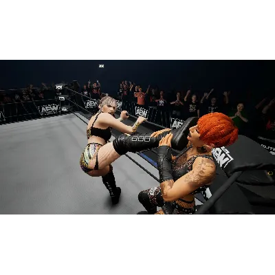 AEW: Fight Forever - Hayter&acute;s Gunna Game АВТОДОСТАВКА STEAM GLOBAL МГНОВЕННО ЛИЦЕН - irongamers.ru