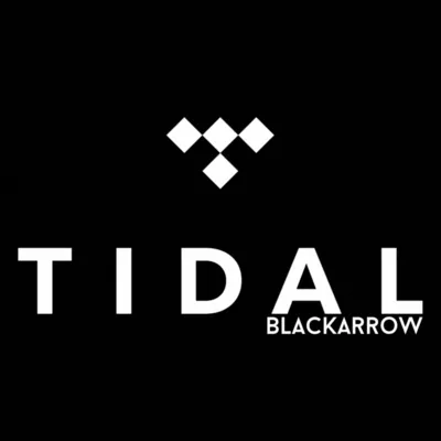 TIDAL HiFi Plus 1-2 МЕСЯЦА ПРИВАТНЫЙ АККАУНТ - irongamers.ru