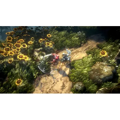 No Rest for the Wicked * RU/KZ/СНГ/TR/AR * STEAM - irongamers.ru