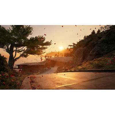 Dead Island 2 - Haus (Steam Gift Россия UA KZ TR ARG) - irongamers.ru