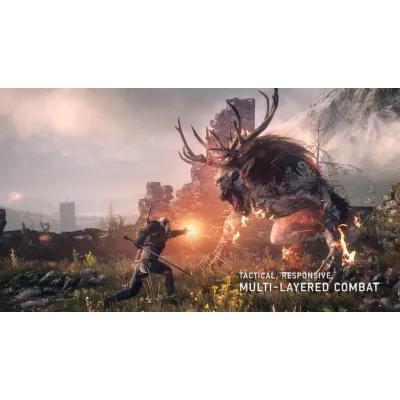 The Witcher 3: Wild Hunt - STEAM Gift - Region Free - irongamers.ru