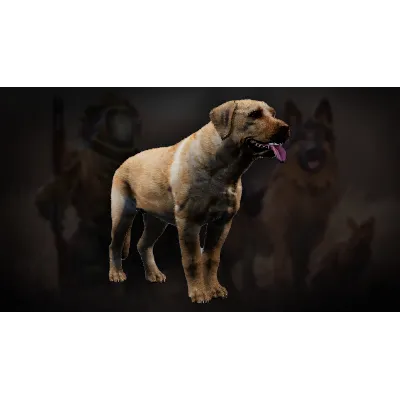 Icarus: Pet Companions Pack DLC АВТОДОСТАВКА STEAM РОССИЯ - irongamers.ru