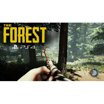 The Forest (PS4/PS5/Eng) Активация П2-П3 - irongamers.ru