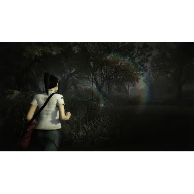 DreadOut Keepers of The Dark (steam key) - irongamers.ru