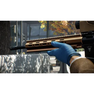 PAYDAY 2: GAGE MOD COURIER JOB (Steam)(Region Free) - irongamers.ru