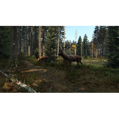DayZ {Steam Gift/Россия/СНГ} + Подарок - irongamers.ru