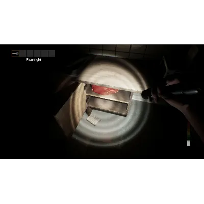 PANICORE +ВЫБОР РЕГИОНА STEAM АВТОДОСТАВКА 0% - irongamers.ru