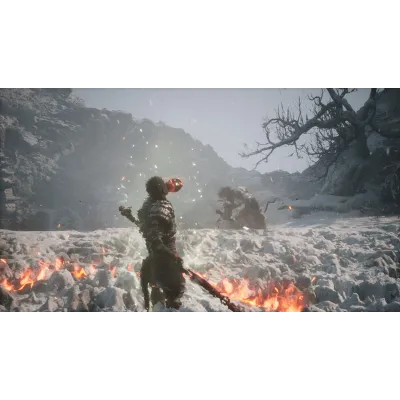 Black Myth: Wukong | АВТОДОСТАВКА [Россия Steam Gift] - irongamers.ru