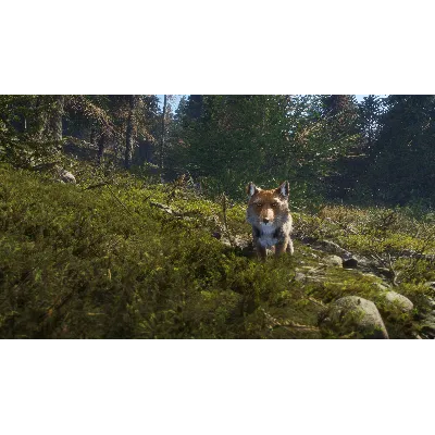 theHunter: Call of the Wild™ - Sundarpatan Hunting Rese - irongamers.ru