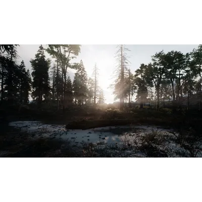 Skye: The Misty Isle | АВТОДОСТАВКА [Россия Gift] - irongamers.ru