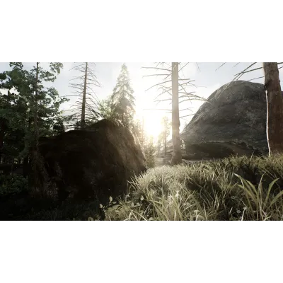 Skye: The Misty Isle | АВТОДОСТАВКА [Россия Gift] - irongamers.ru