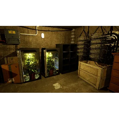 Drug Dealer Simulator 2 STEAM•RU АВТОДОСТАВКА 0% - irongamers.ru