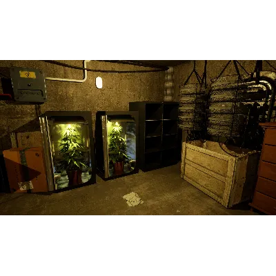 Drug Dealer Simulator 2 (Steam Gift Россия) - irongamers.ru