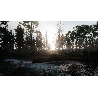 Skye: The Misty Isle - Base Game - STEAM GIFT РОССИЯ - irongamers.ru