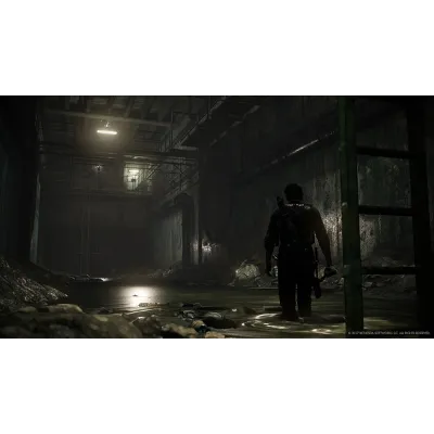 The Evil Within 2 | АВТОДОСТАВКА [Россия Steam Gift] - irongamers.ru