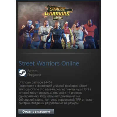 Street Warriors Online (Steam Gift Region Free / ROW) - irongamers.ru