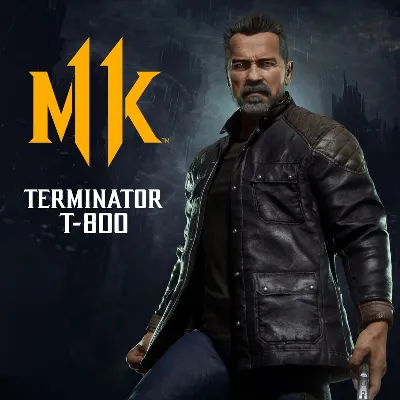 Terminator T-800 PS4 PS5 ПСН PLAYSTATION - irongamers.ru