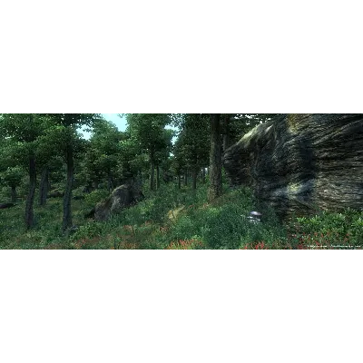 The Elder Scrolls IV: Oblivion Game of the Year Deluxe - irongamers.ru