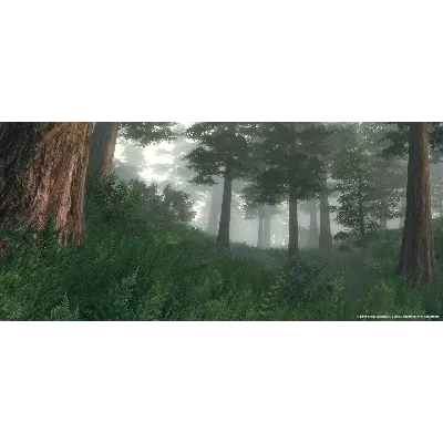 The Elder Scrolls IV: Oblivion Game of the Year Deluxe - irongamers.ru